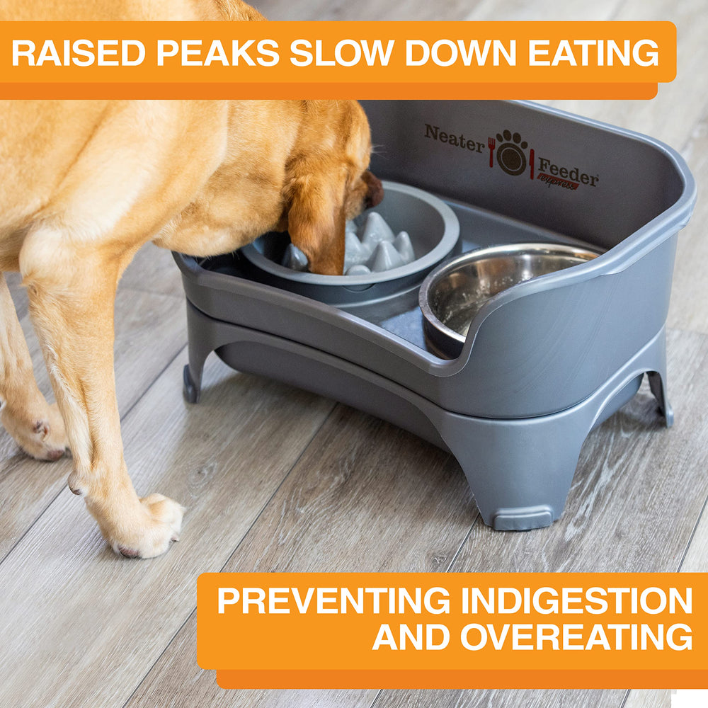 The Niner non-skid bottom keeps the bowl steady during meals.