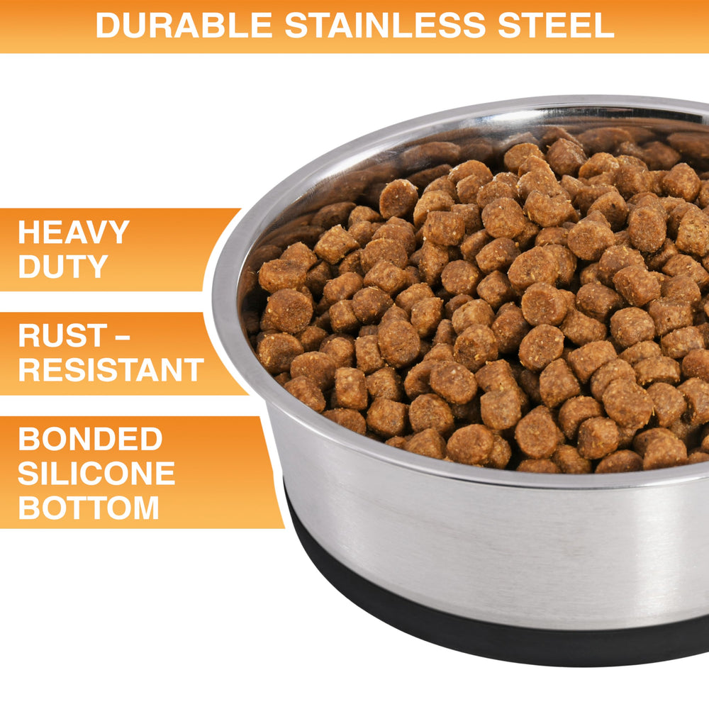 Juego de dos cuencos Neater Pet Brands de acero inoxidable 16 oz para comida y agua