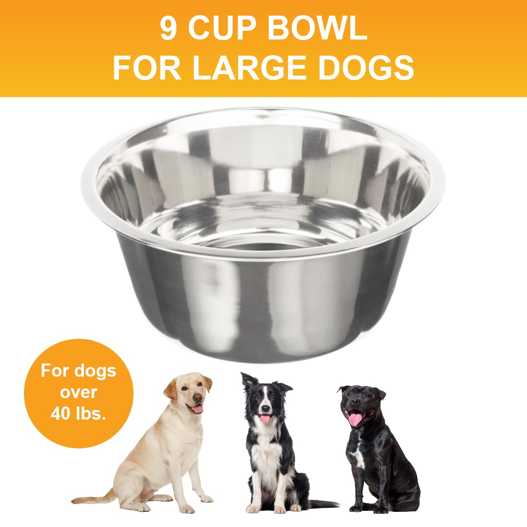 Neater Pet Brands replacement bowls close-up highlighting stainless steel quality