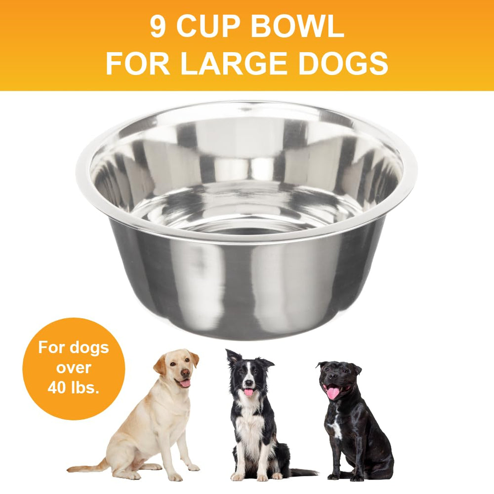 Neater Pet Brands replacement bowls close-up highlighting stainless steel quality