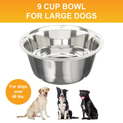 Neater Pet Brands replacement bowls close-up highlighting stainless steel quality