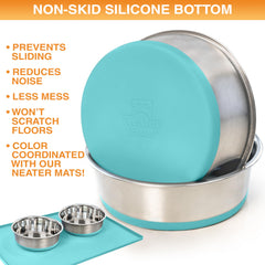 Neater Pet Brands set of two bowls provides versatile food and water options