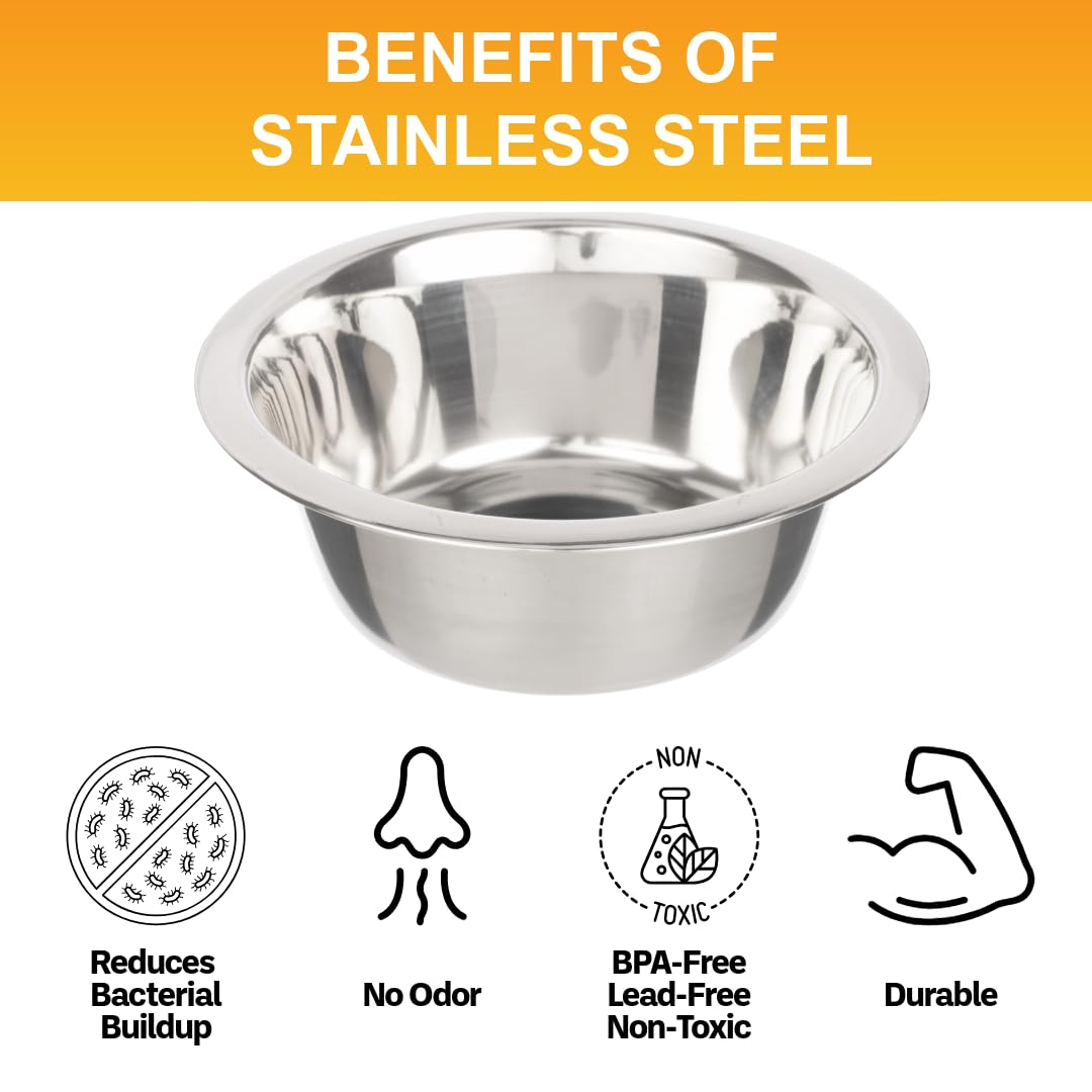 Neater Pet Brands small-dog bowls fit compact feeders with 5.25-inch diameter