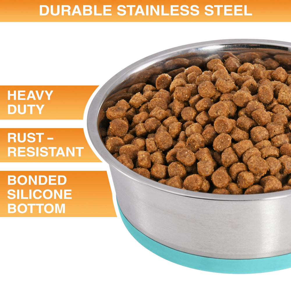 Neater Pet Brands stainless steel dish bowls with thick walls resist dents and odors.