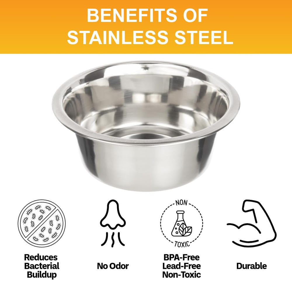 Neater Pet Brands two-bowl set dual-use for food and water.