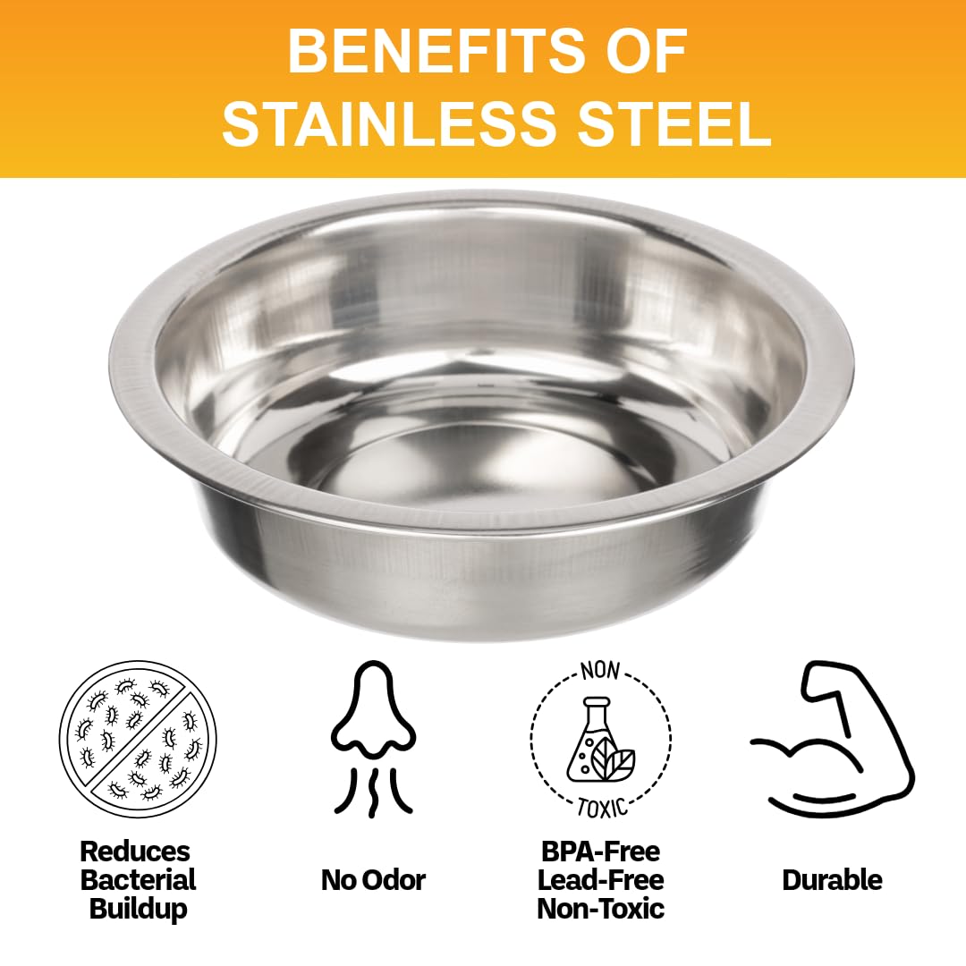 Neater Pet Brands whisker-friendly design minimizes whisker contact during meals