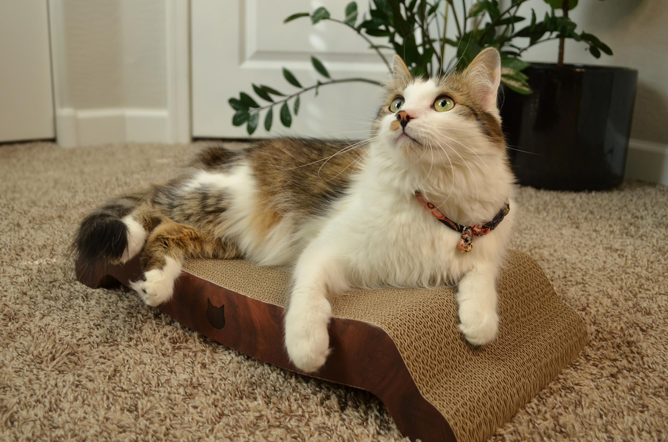 NECOICHI cardboard cat scratcher bed curved design for ergonomic lounging