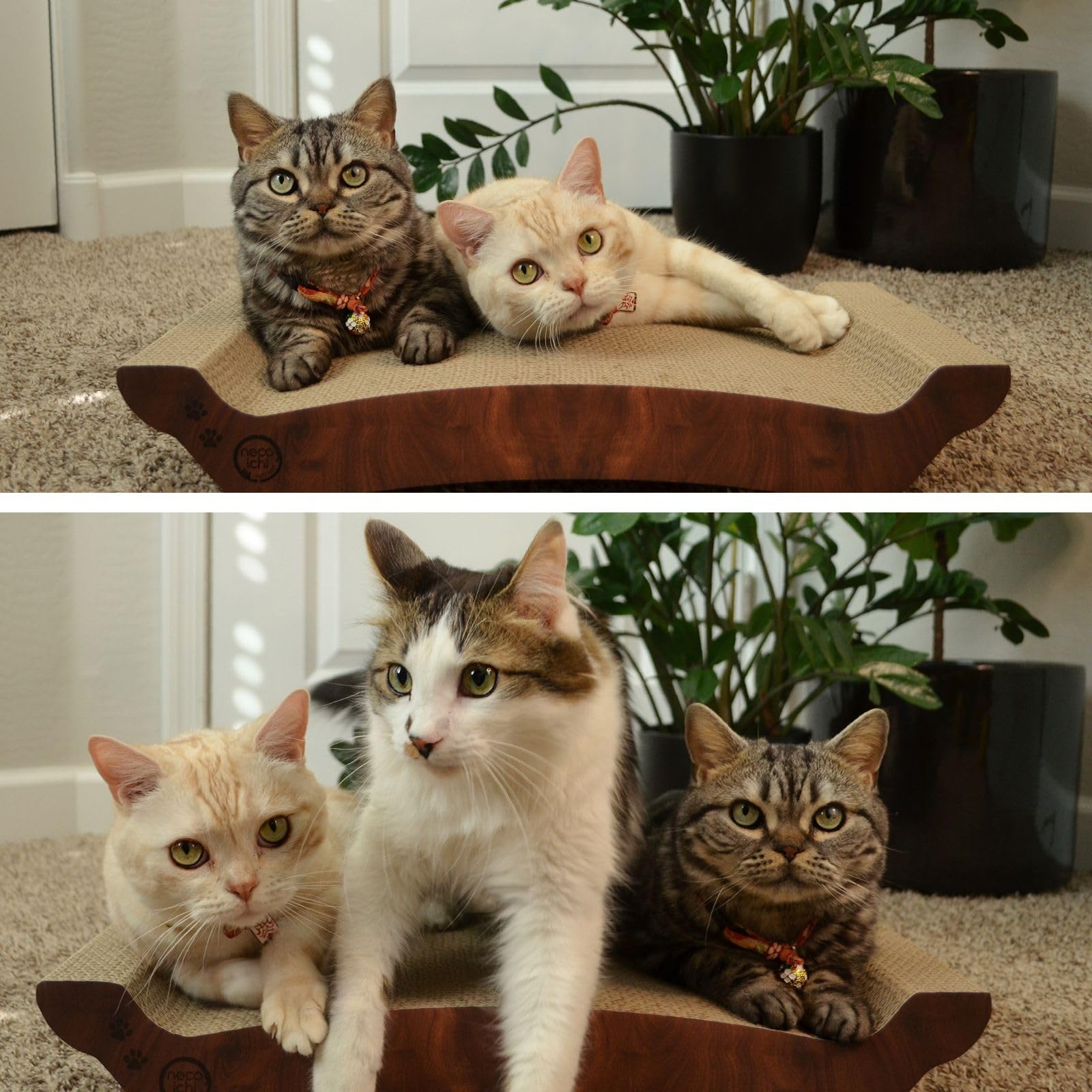NECOICHI cardboard cat scratcher bed horizontal scratcher for easy lounging