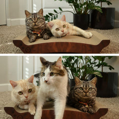 NECOICHI cardboard cat scratcher bed horizontal scratcher for easy lounging