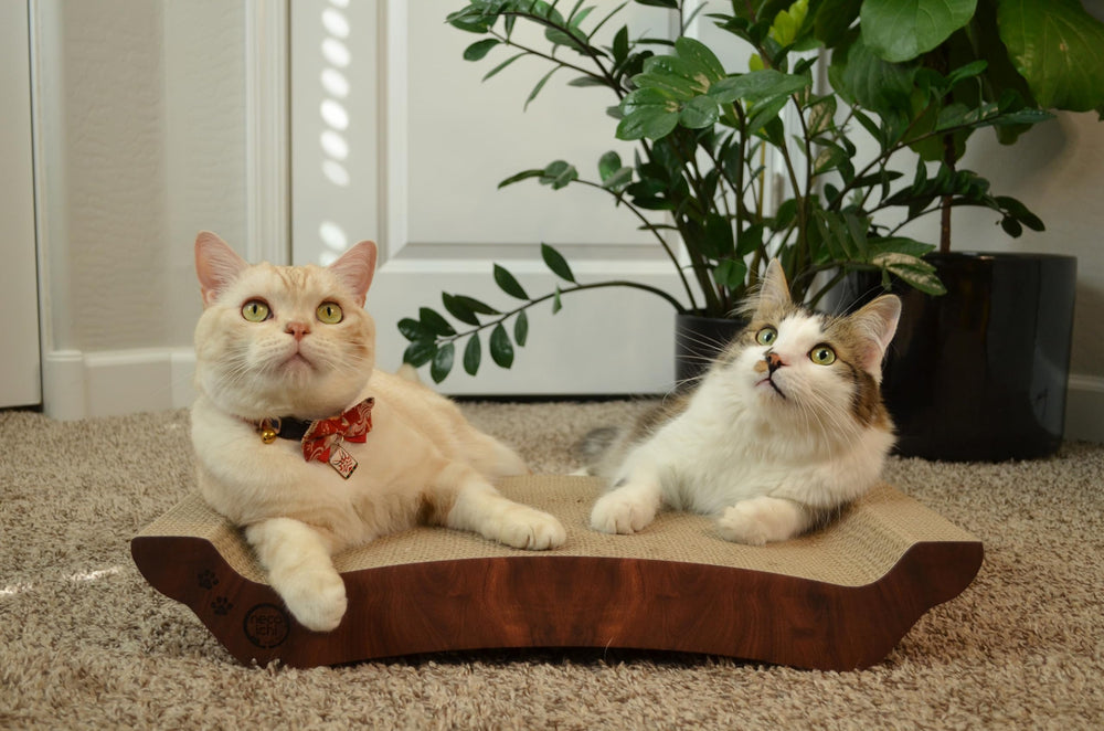 NECOICHI cardboard cat scratcher bed reversible usage for extended life