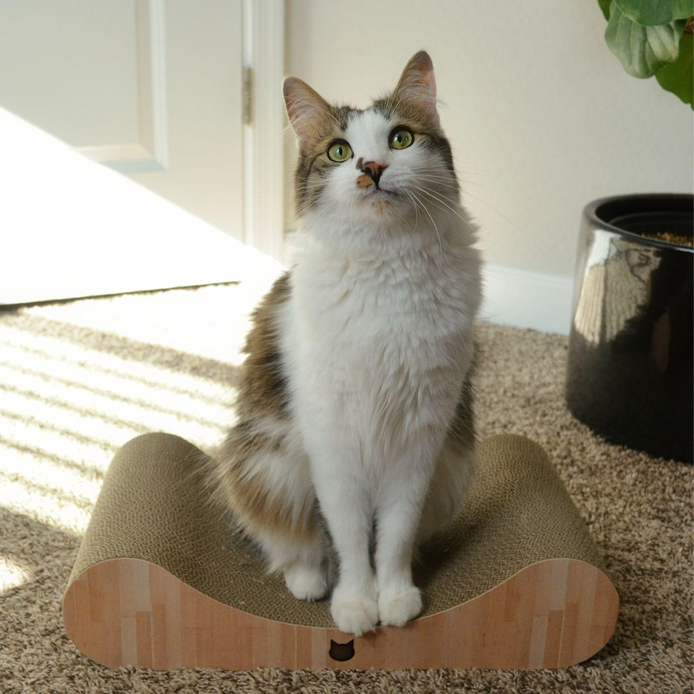 NECOICHI Cardboard Scratcher Bed cat scratching action; durable texture.