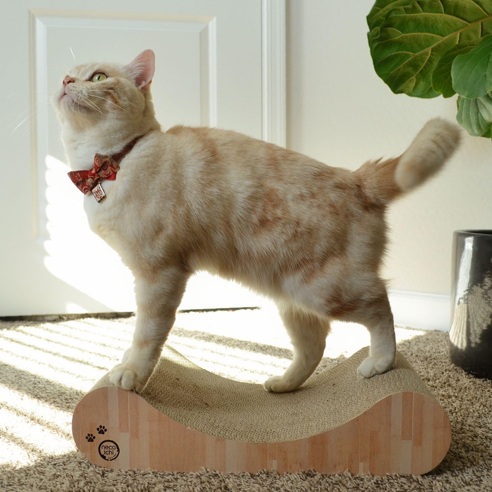 NECOICHI Cardboard Scratcher Bed in living room; blends with decor.