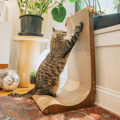 NECOICHI Cardboard Scratcher Wall curved-floor view highlighting loungeable scratching comfort