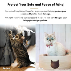NECOICHI Cat-Headed Scratcher Bed birch large top-down view with reversible usability showcased