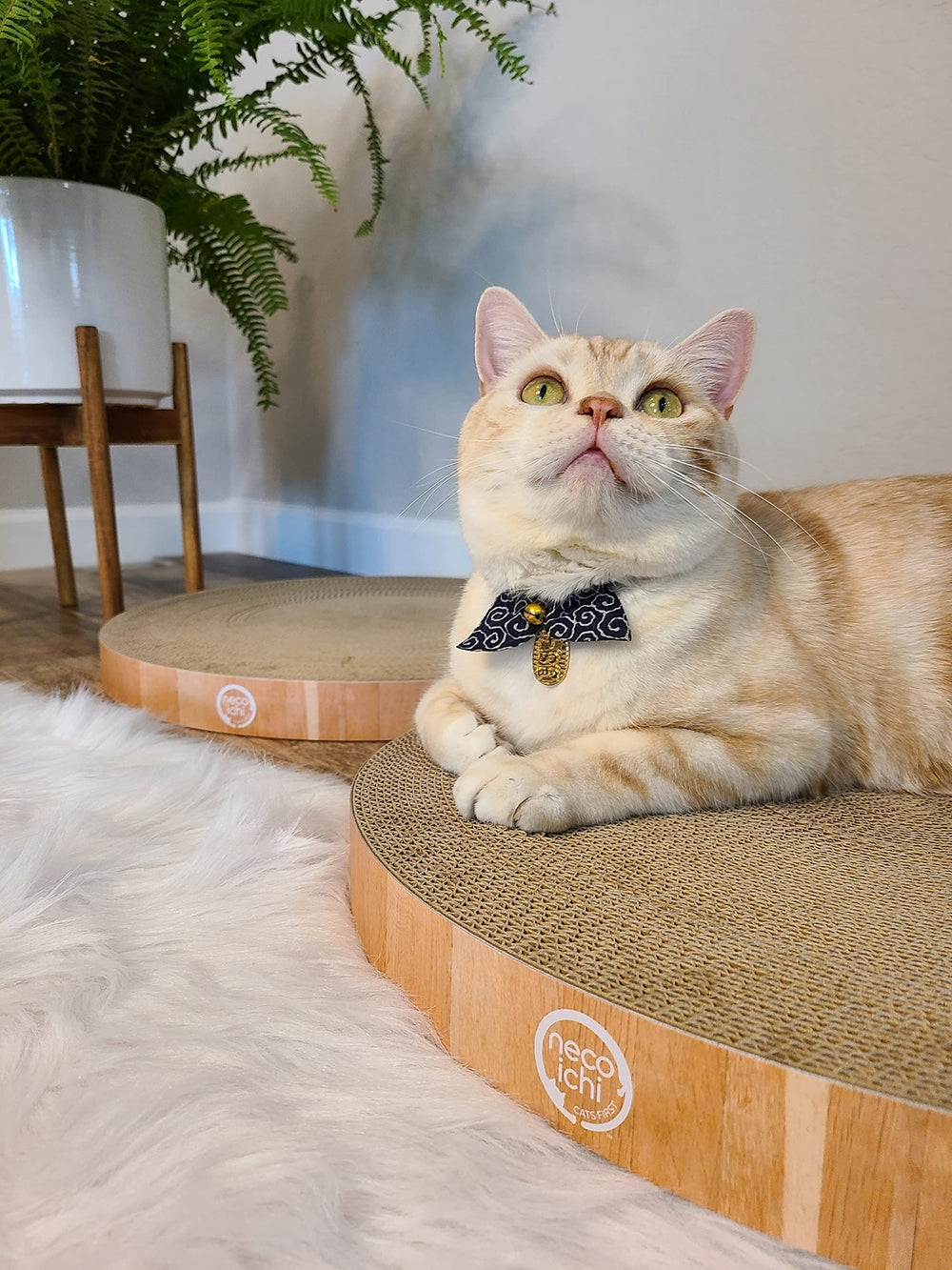 Necoichi Cat Scratcher Bowl Cat Head Silhouette: modern decorative silhouette in living spaces.