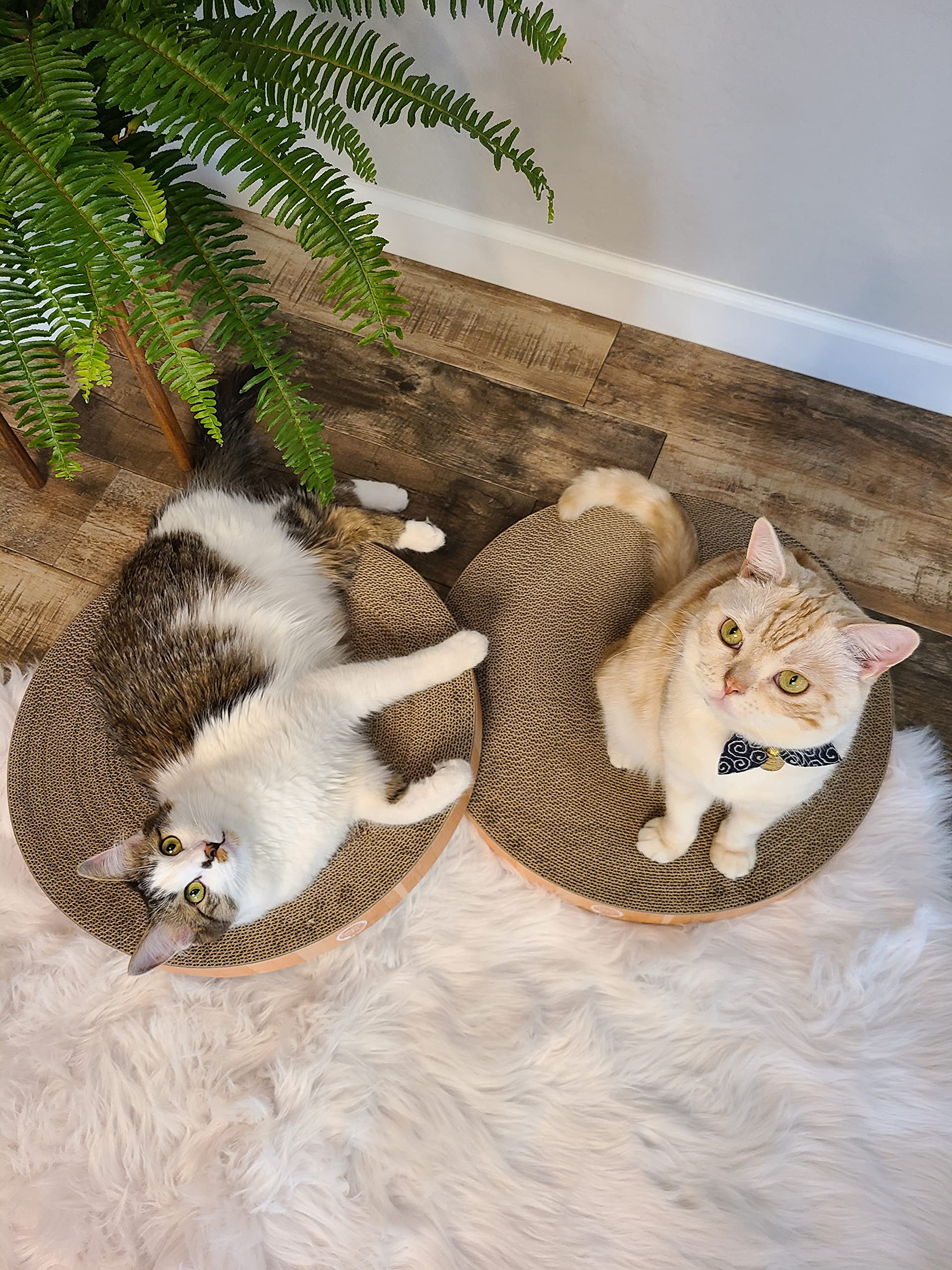 Necoichi Cat Scratcher Bowl Oak: stylish color finish for indoor harmony.