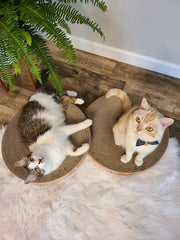 Necoichi Cat Scratcher Bowl Oak: stylish color finish for indoor harmony.
