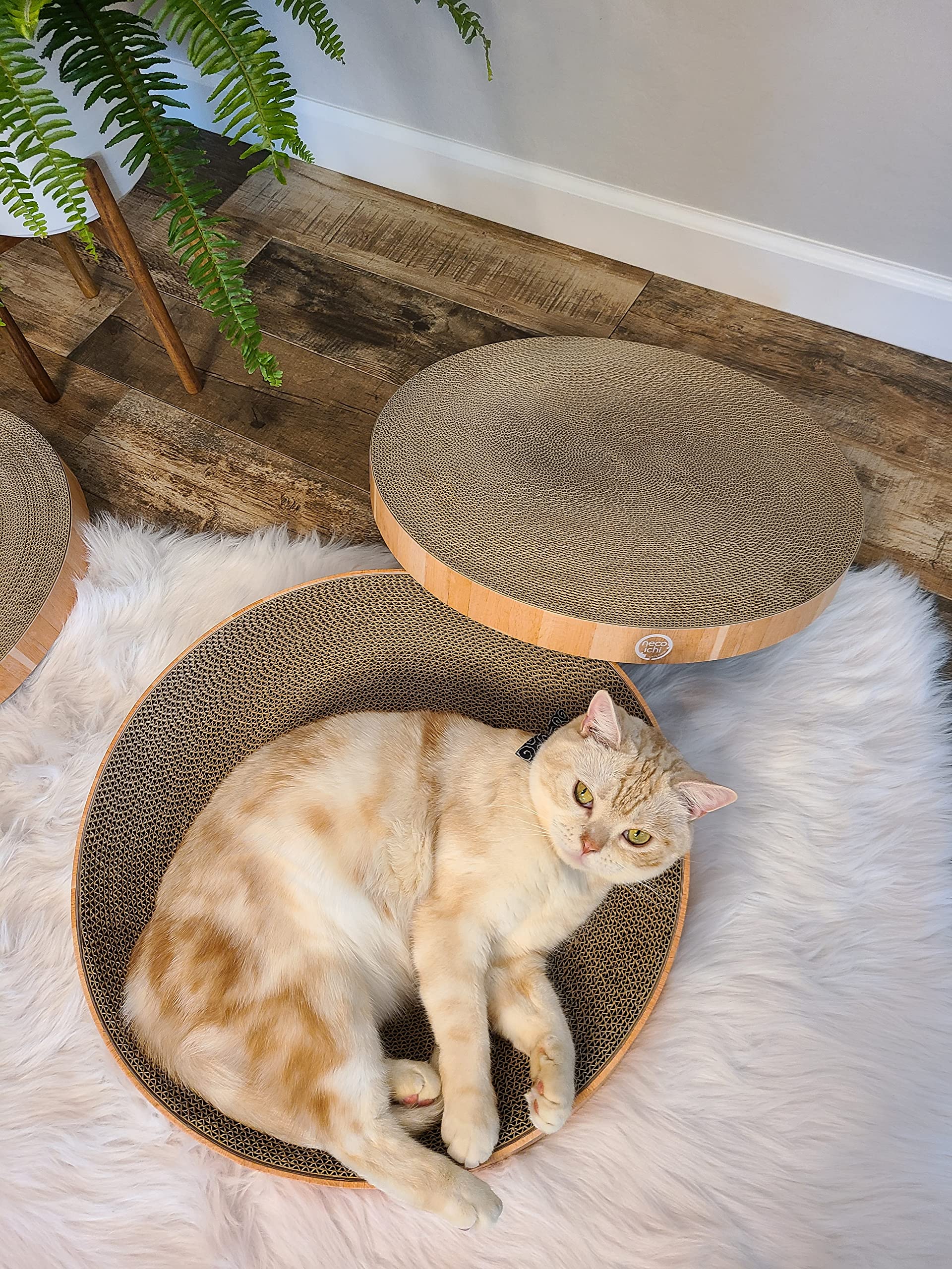 Necoichi Cat Scratcher Bowl Replaceable Pad: easy maintenance and longer-lasting scratching surface.