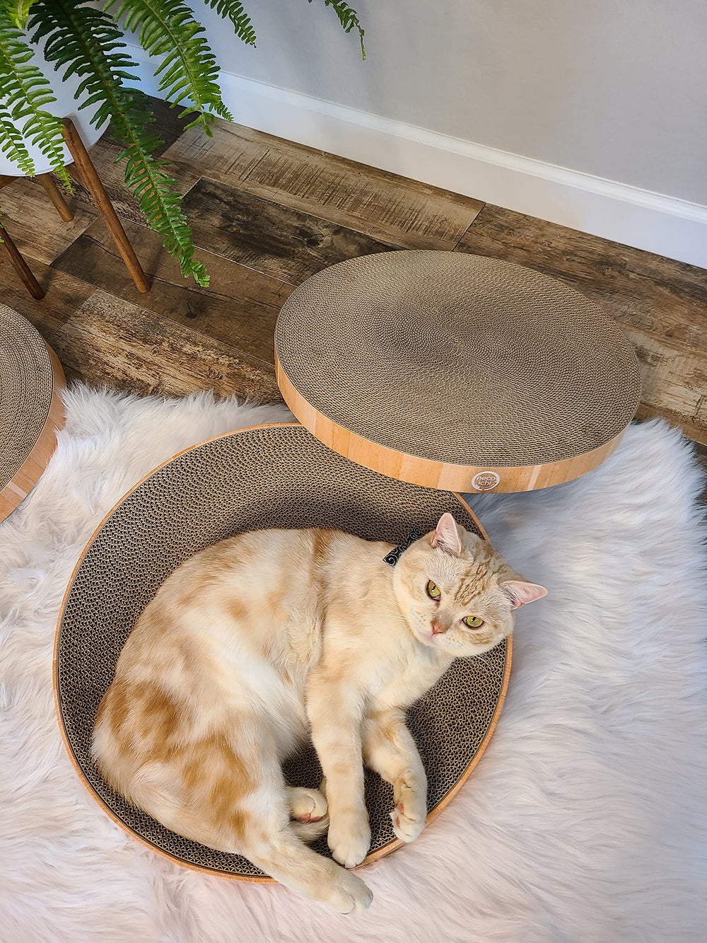 Necoichi Cat Scratcher Bowl Replaceable Pad: easy maintenance and longer-lasting scratching surface.