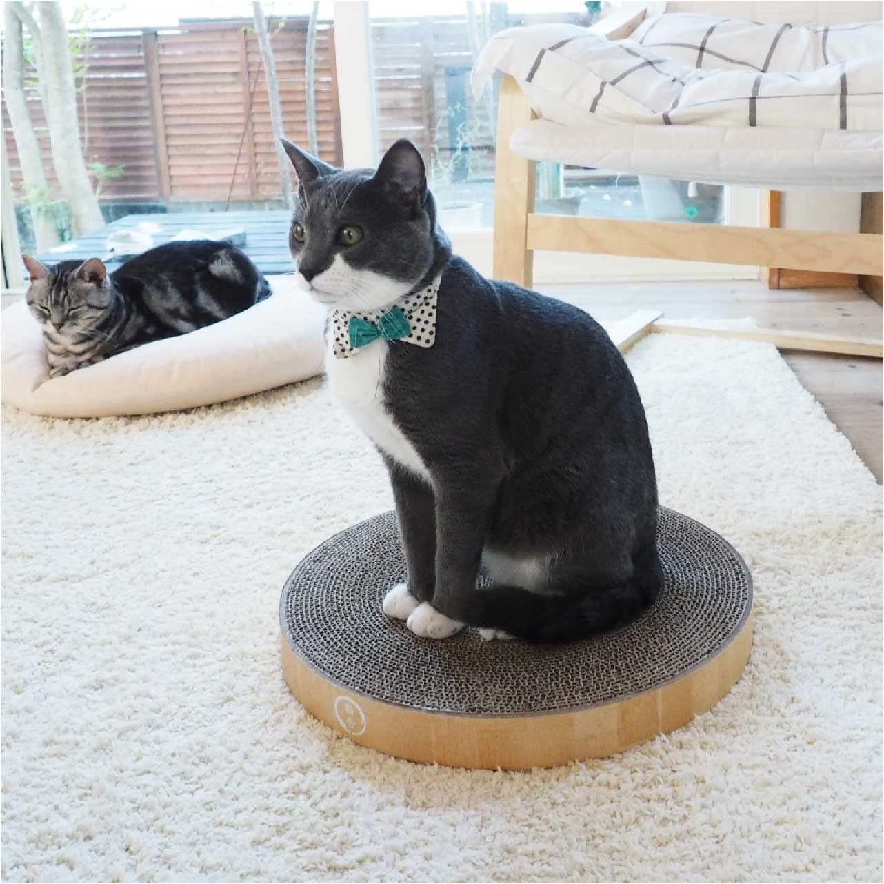 Necoichi Cat Scratcher Bowl Scratching Surface Closeup: textured surface for healthy scratching.