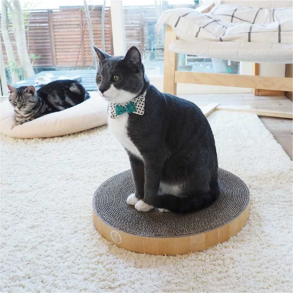 Necoichi Cat Scratcher Bowl Scratching Surface Closeup: textured surface for healthy scratching.