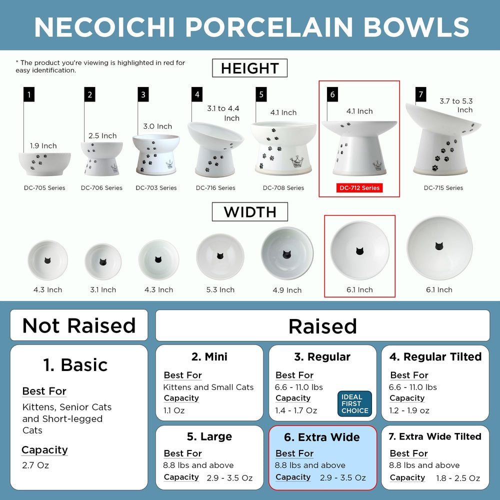 NECOICHI ergonomic-mealtime bowl supports comfortable eating for cats and big kittens.