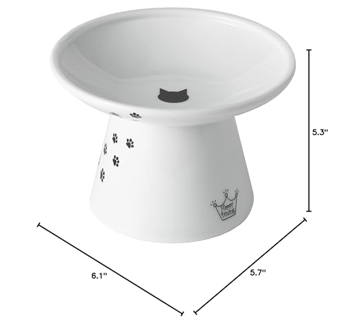 NECOICHI Japanese-brand cat bowls blend tradition with modern design for indoor cats.