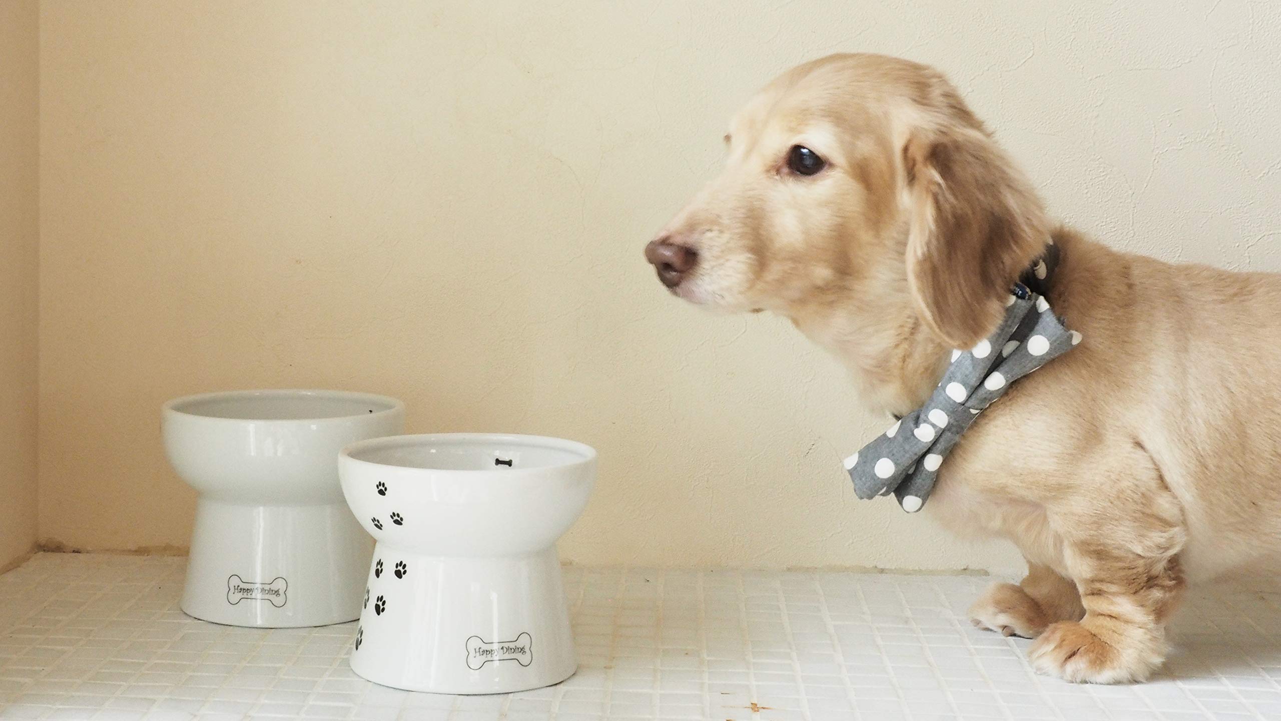 Necoichi pet-safe EC-compliant stand emphasizes safe, durable design for homes.
