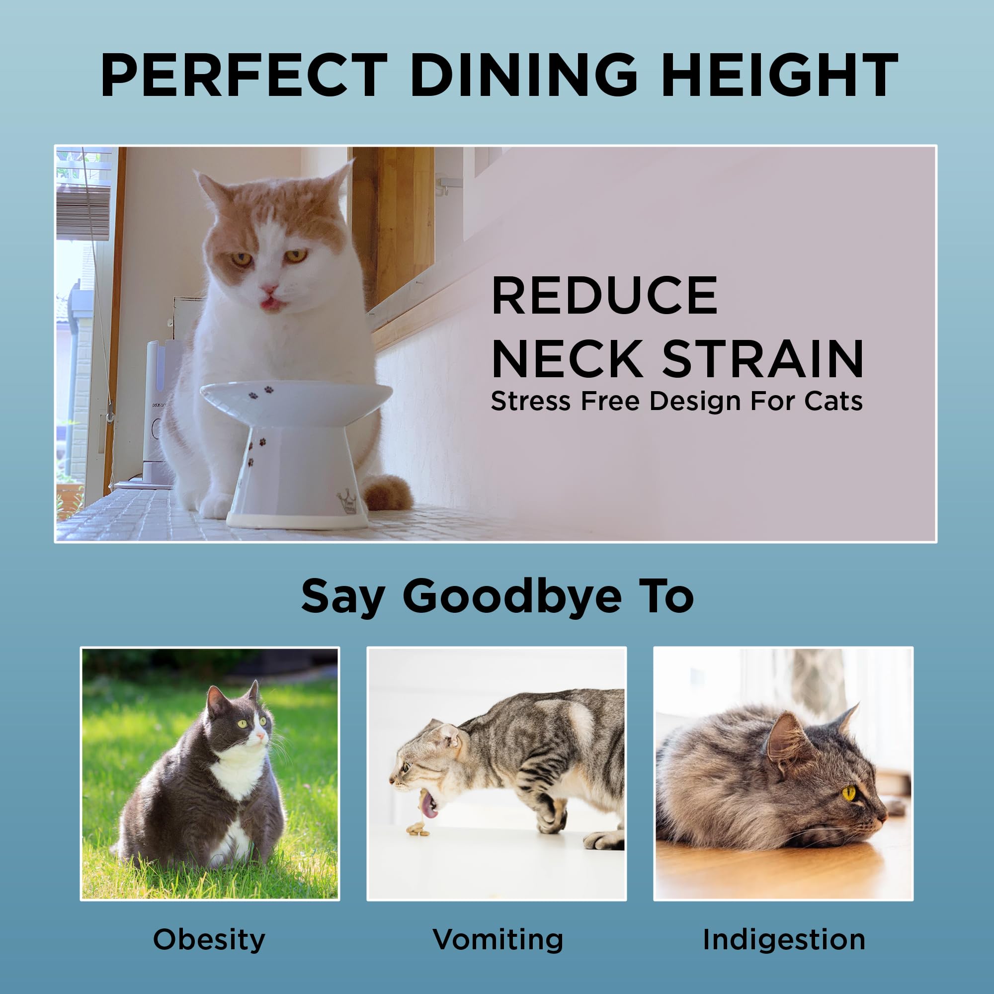 NECOICHI raised-cat-bowl-flat-faced-design suits brachycephalic breeds for comfortable meals.