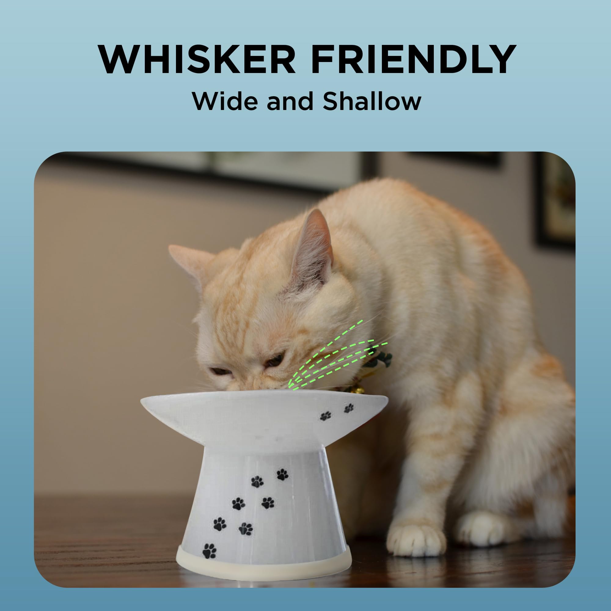 NECOICHI raised cat bowl is microwave-safe ceramic for quick reheats and convenience.