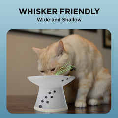 NECOICHI raised cat bowl is microwave-safe ceramic for quick reheats and convenience.