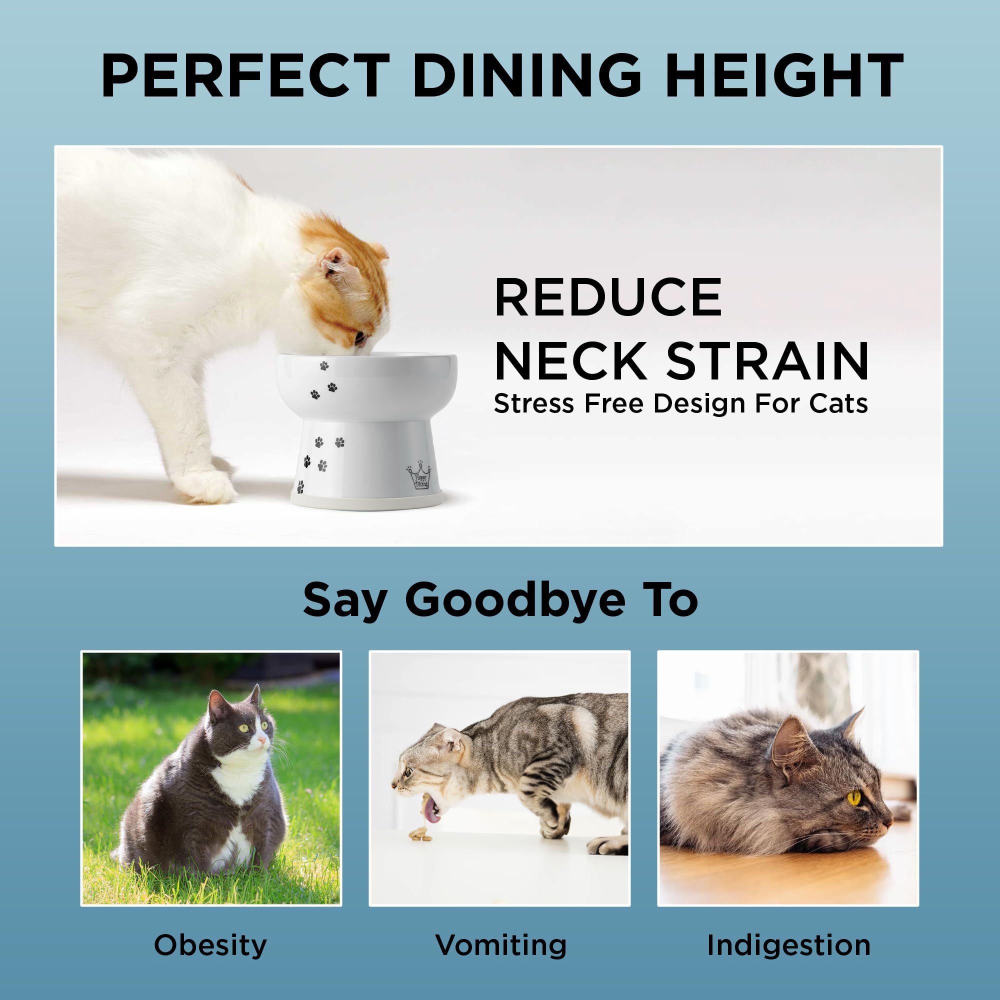 NECOICHI raised cat water bowl dishwasher-safe for simple cleaning