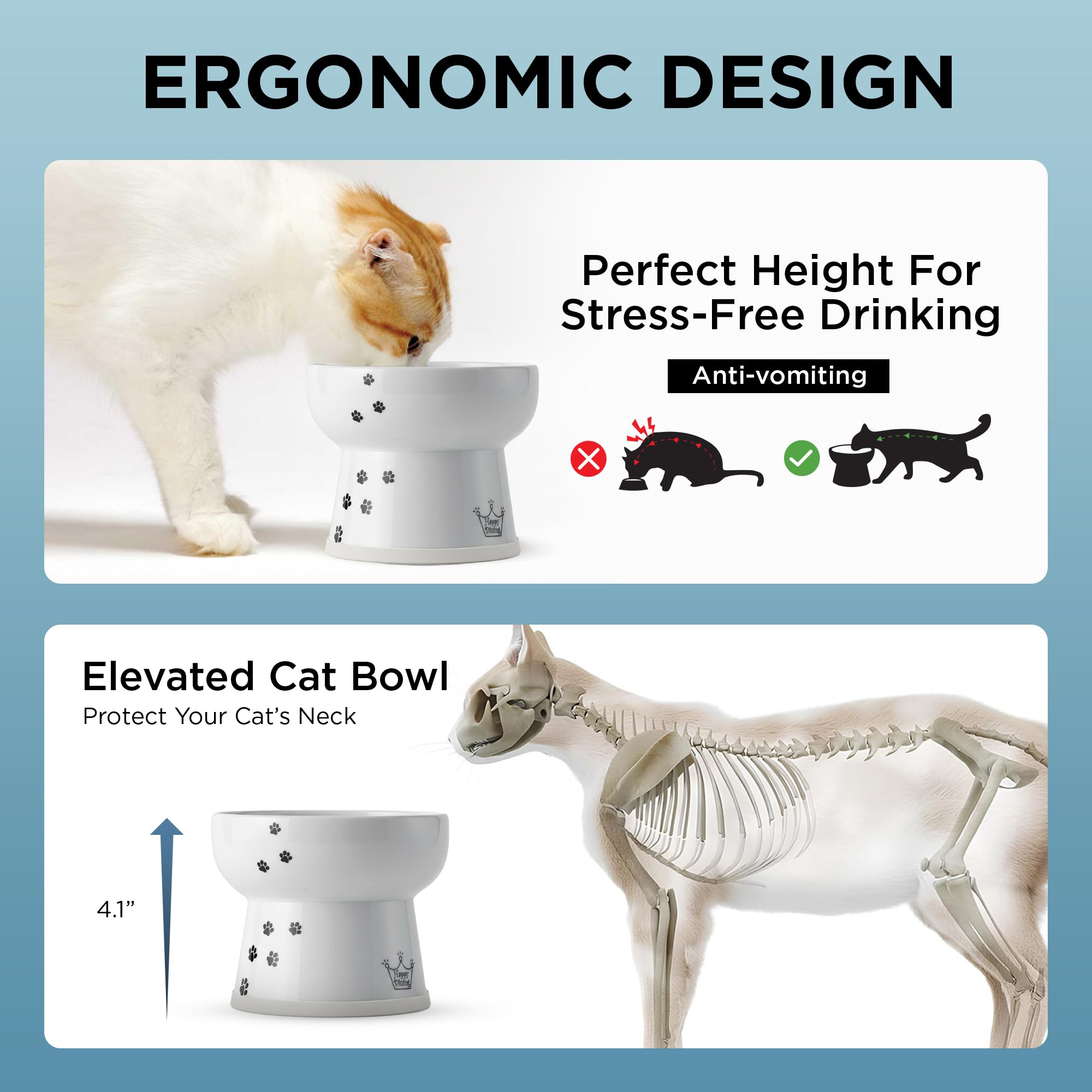 NECOICHI raised cat water bowl inner-curved-lip controls sipping and reduces splash