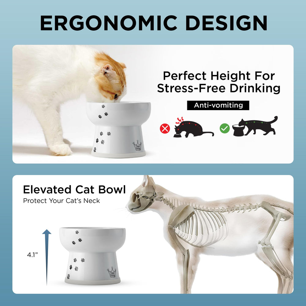 NECOICHI raised cat water bowl inner-curved-lip controls sipping and reduces splash