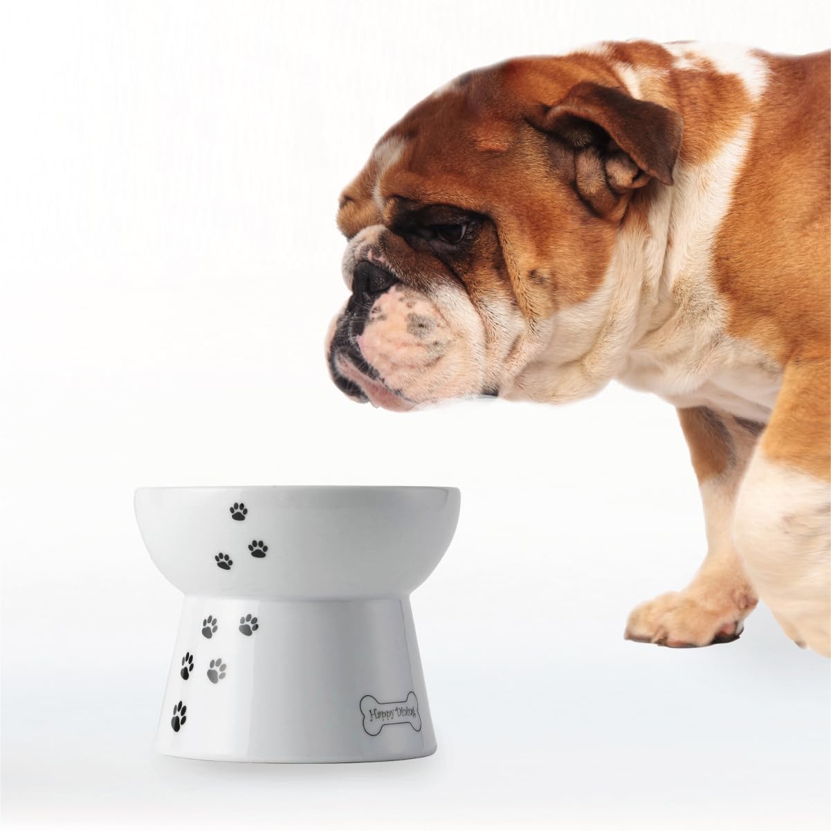 Necoichi raised dog food bowl stand elevates meals for easier reach and comfortable posture.