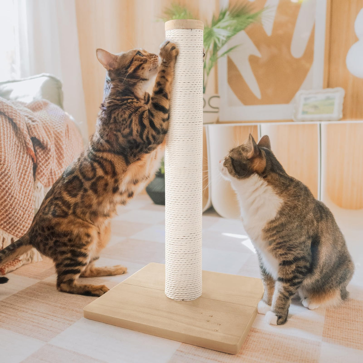 NECOICHI scratching post 23.6 inch wood stand promotes healthy scratching habits and furniture protection.