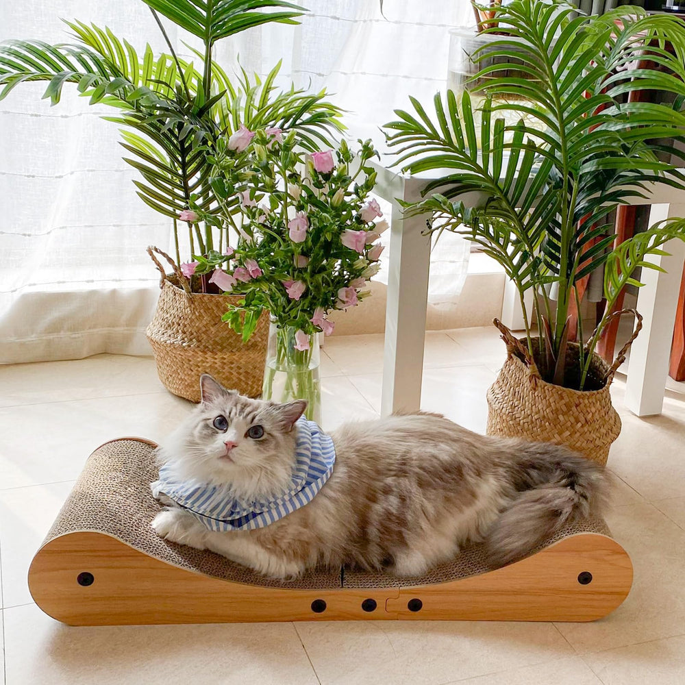 Nekosan cat scratcher bed 27.5 inch size provides ample space for big cats.