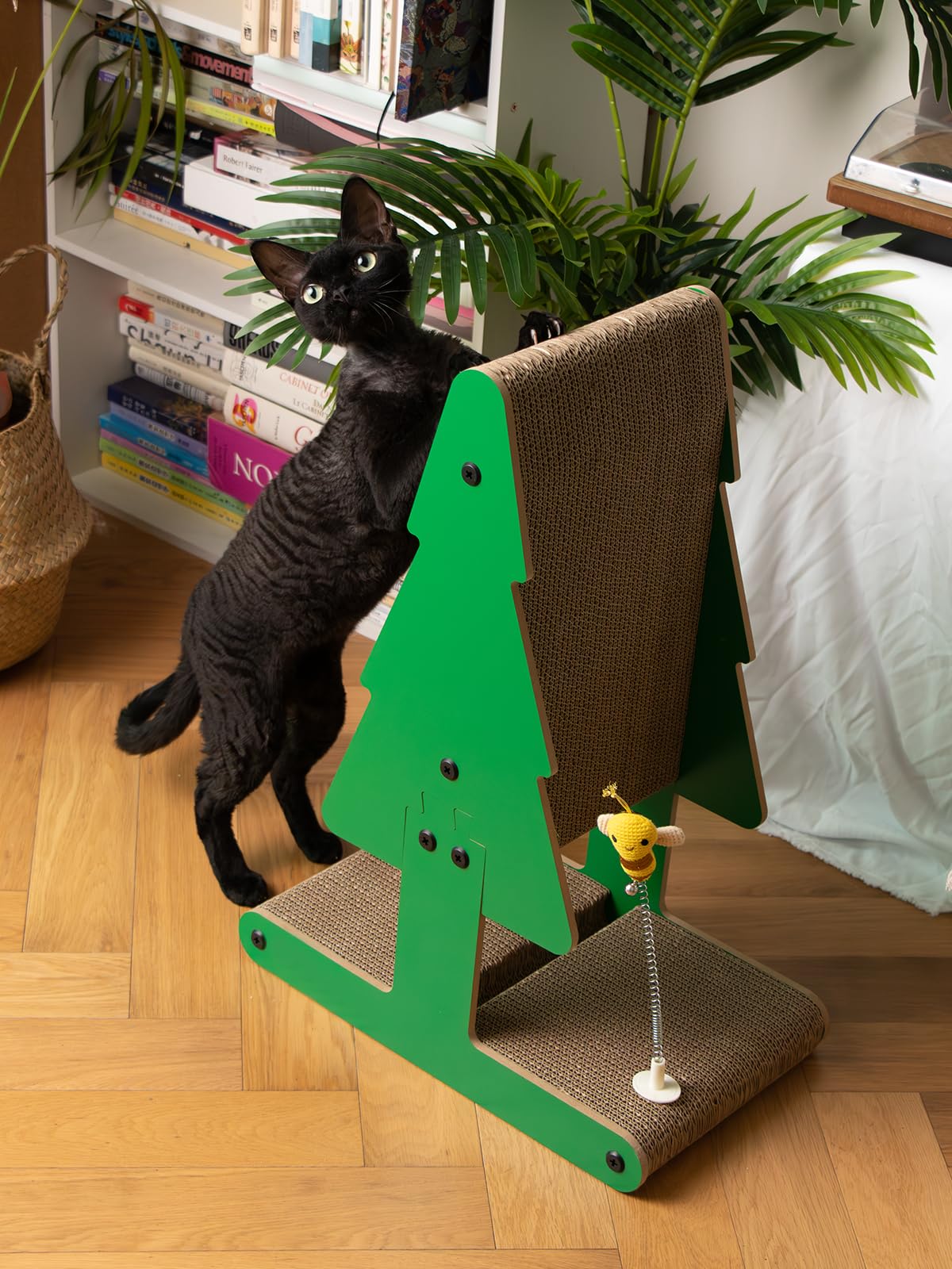 Nekosan indoor cat playtime in living room showcases versatile tree scratcher.