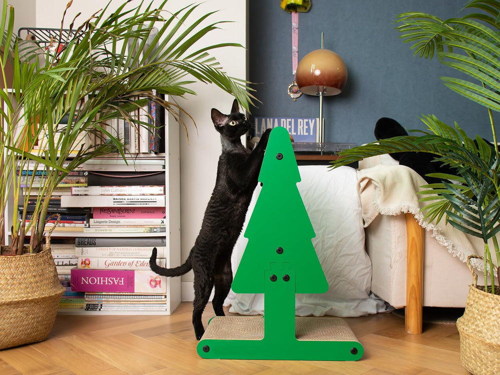 Nekosan large 23-6 inch scratcher supports full body reach and stretch.