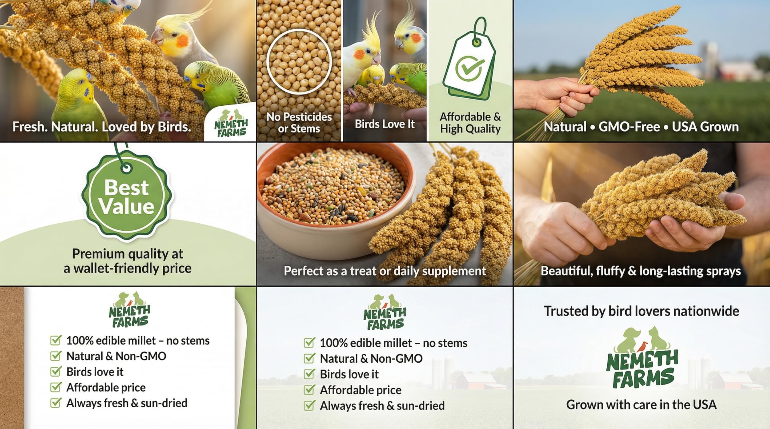 Nemeth Farms budgie enrichment with millet spray supports playful feeding sessions.