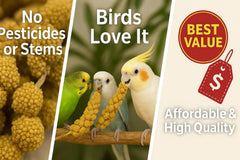 Nemeth Farms millet spray in cage demonstrates easy clipping for quick, mess-free feeding.