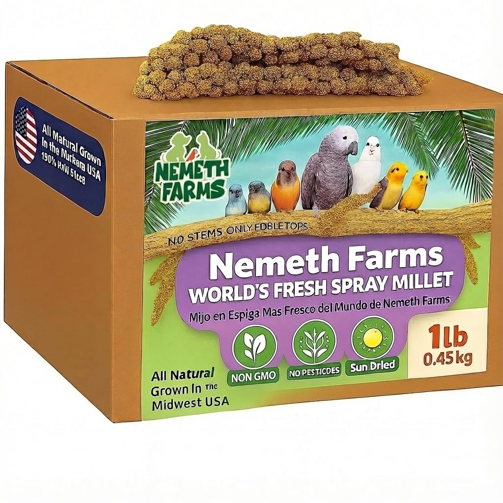 Nemeth Farms spray millet US-grown closeup shows fresh, natural bird treat ready for daily foraging.