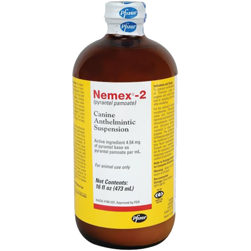 Nemex 2 dog dewormer bottle – convenient 16oz formula for at-home worm control.