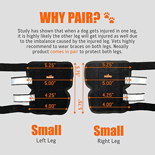 NeoAlly 3-in-1 brace front view shows secure, adjustable fit for mobility.