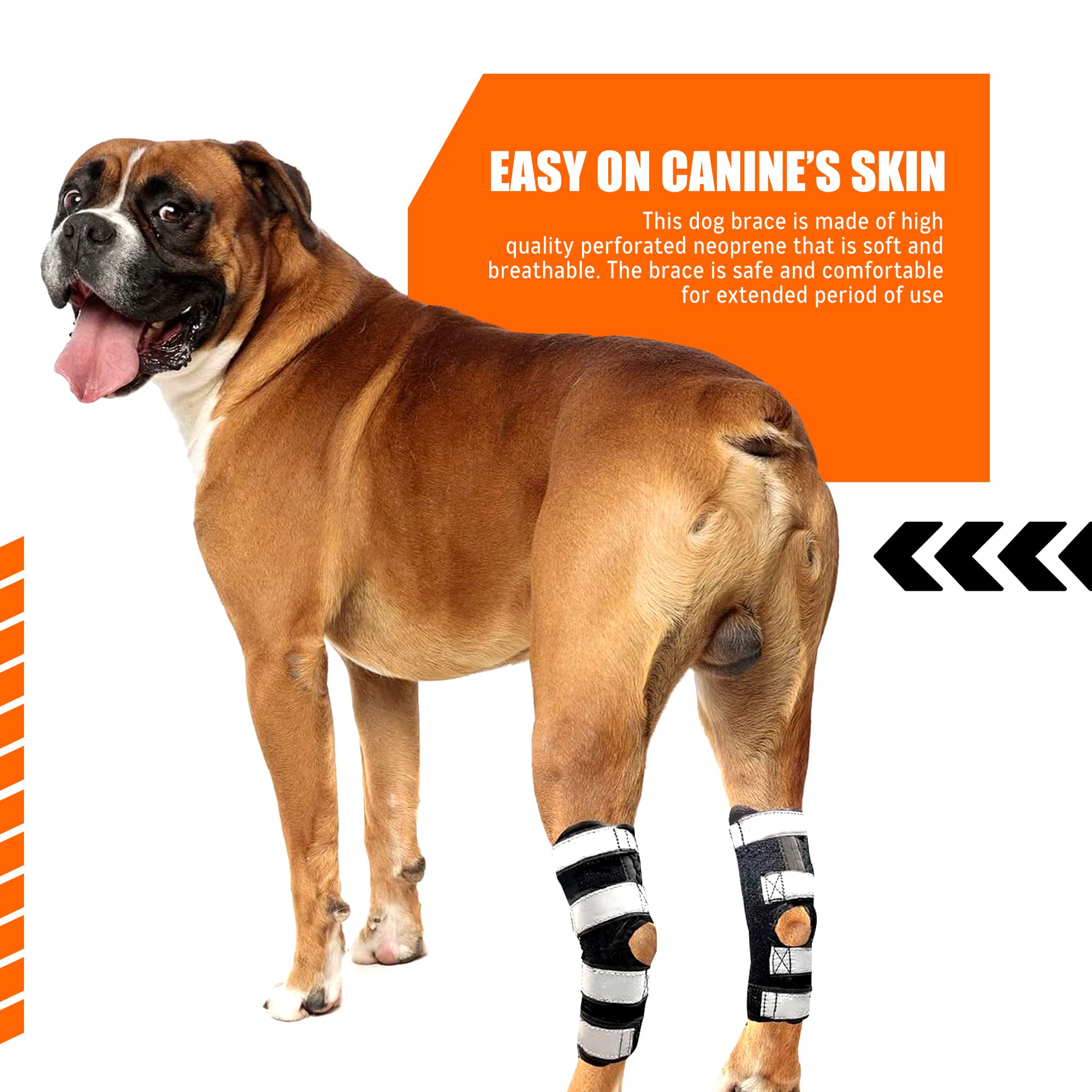 NeoAlly rear brace shown in pair reinforces both legs for protection.