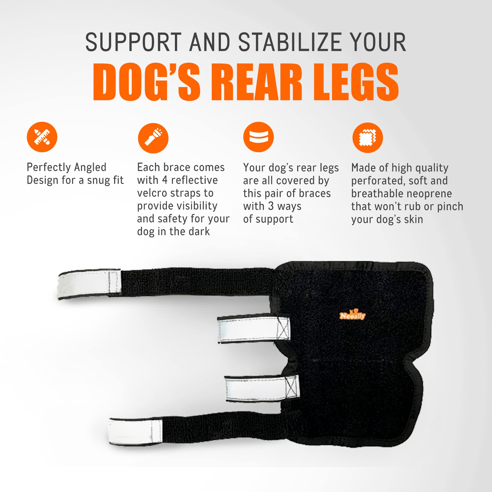 NeoAlly brace on dog illustrates dual-leg support in action.