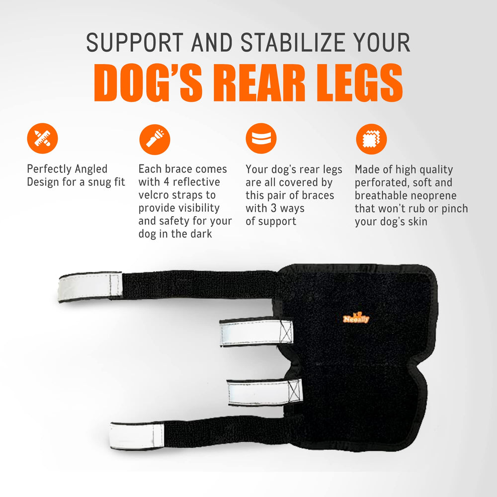 NeoAlly brace on dog illustrates dual-leg support in action.