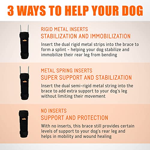 NeoAlly reflective straps aid visibility during dusk pet outings.