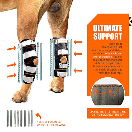 NeoAlly 3-in-1 brace with straps demonstrates visibility for evening walks.