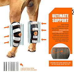 NeoAlly 3-in-1 brace with straps demonstrates visibility for evening walks.